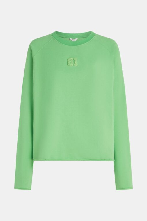 Penn&Ink W25F1705 sweater print vibrant green