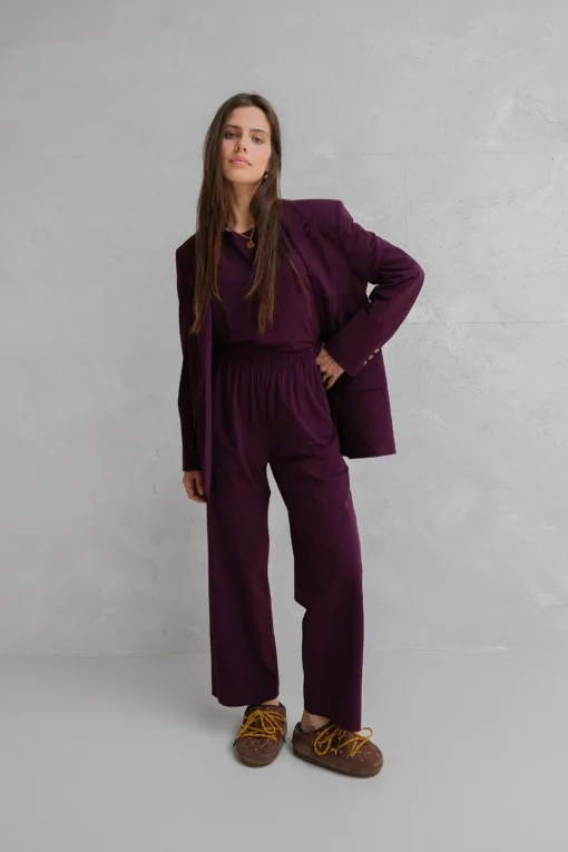 Penn&Ink W25N1643 Trousers aubergine