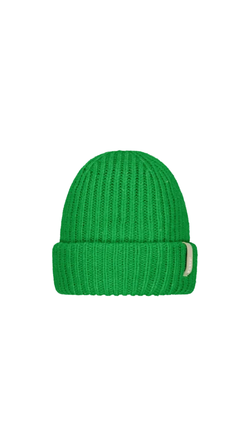 Barts w25 chilah beanie green