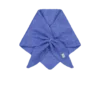Barts w25 neolana scarf blue